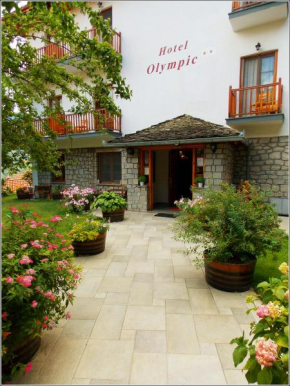 Hotel Olympic Métsovon